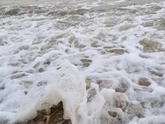 -白沙门生态公园
