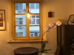 -春风十里咖啡馆