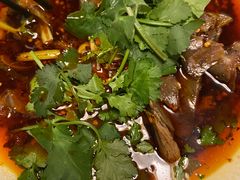 -易老妈蹄花.特色川菜(人民公园总店)