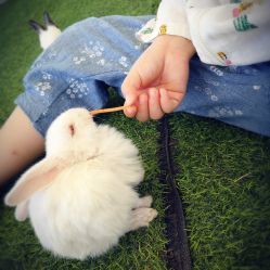 -萌宠亲子动物乐园(槐房万达店)