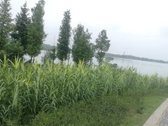 -滨湖塘西河公园
