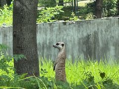 -合肥野生动物园