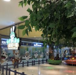 -波比一号儿童乐园(圣熙8号店)