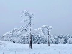 -秦岭风景区