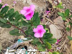 -三亚西岛海洋文化旅游区