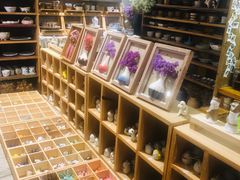 -晋江五店市传统文化旅游区
