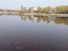 -西海子公园