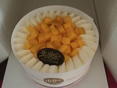-维尔纳斯·生日蛋糕·动物奶油冰淇淋蛋糕(六里桥店)