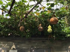 -广州神农草堂中医药博物馆