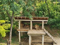 -石家庄市动物园