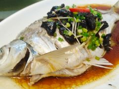 清蒸鳊鱼-姚林轩