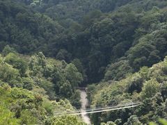 -龙岩森林水乡景区
