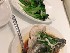 -至潮餐厅精致粤菜·活鲈鱼·走地鸡(珠江新城店)