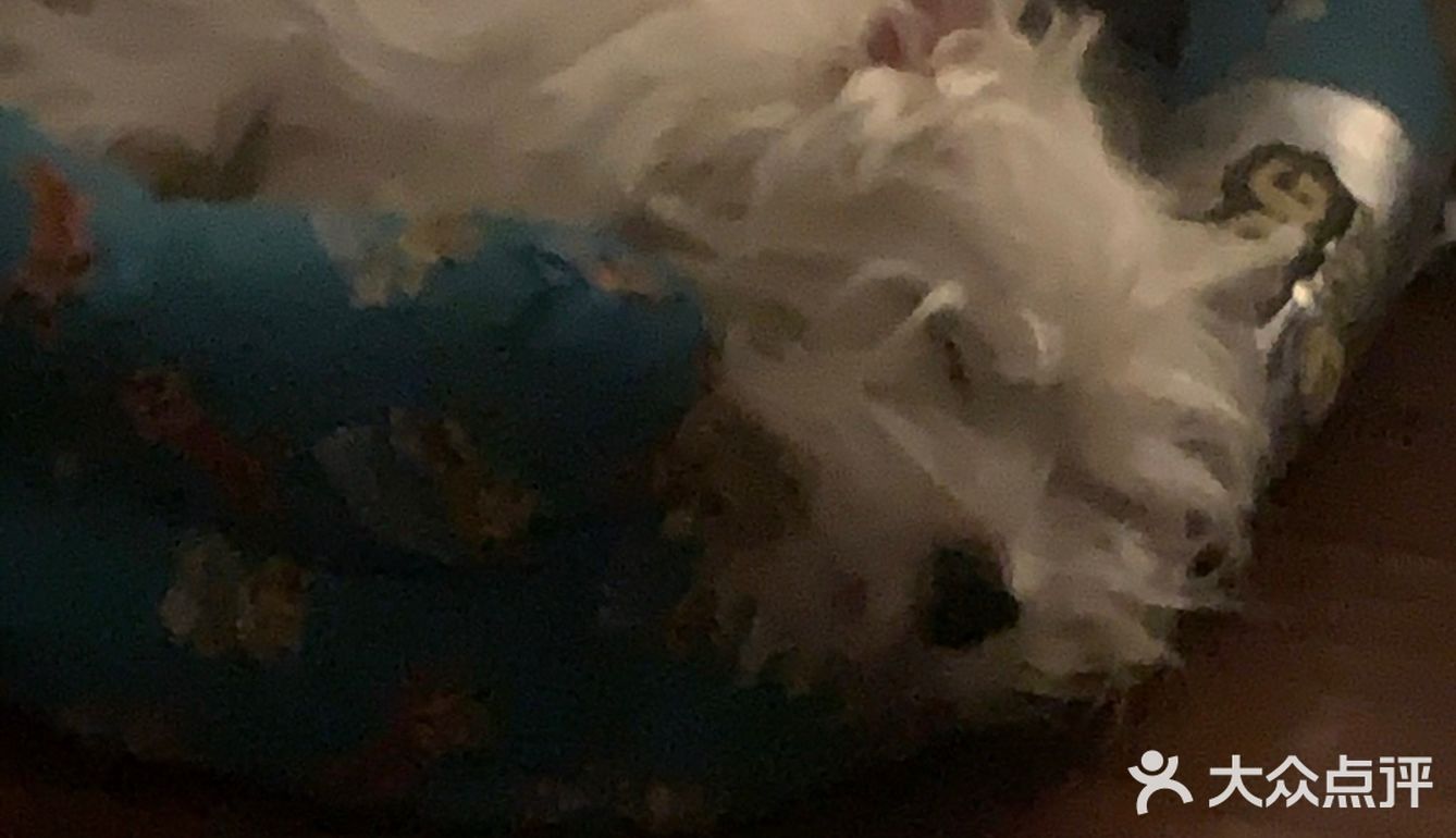 很久之前就来过的一家店