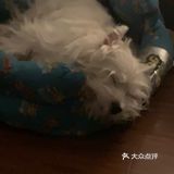 很久之前就来过的一家店