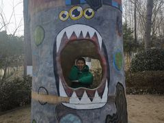 -合肥滨湖国家森林公园