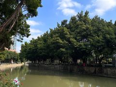 -晓港公园