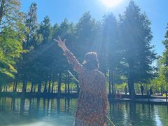 -泗洪洪泽湖湿地景区