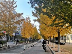 -东北大学(南湖校区)