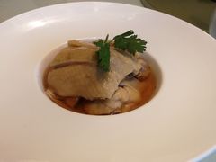 -张生记(丁香国际店)