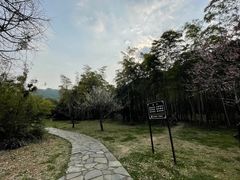 -苏州上方山国家森林公园