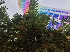 -广州塔