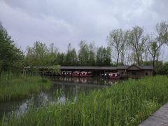 -溱湖国家湿地公园