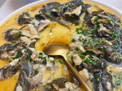 塘鲤鱼炖蛋-迪欧咖啡·中西餐融合菜(平江万达旗舰店)