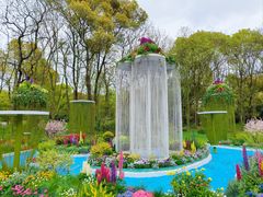 -上海共青森林公园