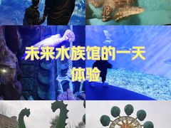 -哈尔滨波塞冬海底世界