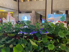 -小厨娘淮扬菜(六合欢乐港店)