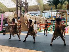 -杭州开元森泊度假乐园