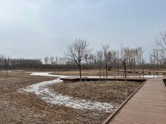 -东郊湿地公园