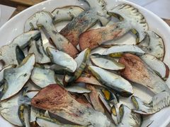 -草墩罗非鱼庄•野生菌•腊排骨(七星街上段店)