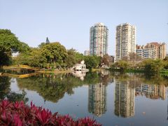 -晓港公园