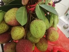 -港华水果街(港华广场店)