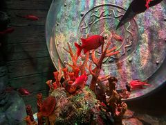 -沈阳海洋探索中心