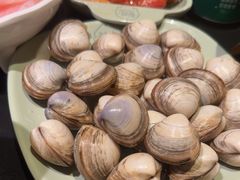 -梨花自助烤肉(西三旗万象汇黑金店)