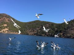 -丽江泸沽湖景区-里格半岛