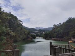 -洪崖丹井