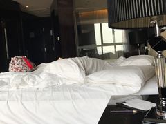 -常州环球恐龙城维景国际大酒店