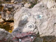 -南海湾森林生态园