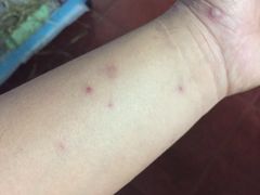 -崇明金茂凯悦酒店.宴会厅