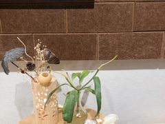 -藏猫猫咖啡主题馆(中央大道店)