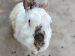 -西部长青自然儿童乐园