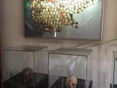 -吐斯廉屠杀博物馆