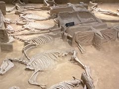 -洛阳周王城天子驾六博物馆