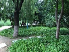 -丰台科技园生态主题公园