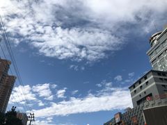 -巴依老爷新疆美食(清华东门店)