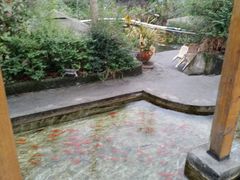 -源泉冷水鱼庄(小鱼洞店)